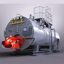 關于鍋爐改造方案中對燃燒機的選擇和建議