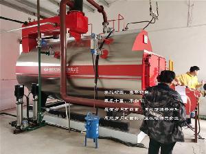 高效能源解決方案 4噸燃氣蒸汽鍋爐與反應(yīng)釜夾層鍋的配套應(yīng)用